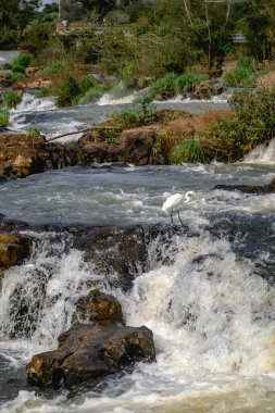 Iguazu şelaleleri bulutlu havada. Yüksek kalite fotoğraf