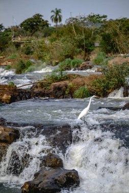 Iguazu şelaleleri bulutlu havada. Yüksek kalite fotoğraf