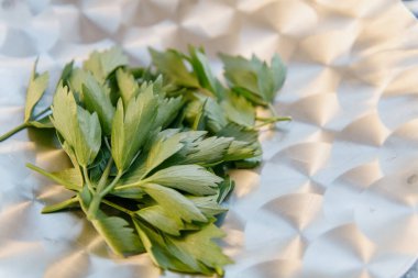 Bir demet taze maydanoz yaprakları parlak gümüş bir tabakta güzel bir şekilde dizilmiş, canlı yeşil renklerini ve narin dokularını sergiliyorlar.