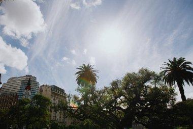 Parlak ve sıcak güneş, güzel manzaranın ön planında yer alan uzun palmiye ağaçlarının arasından canlı bir şekilde parlıyor.