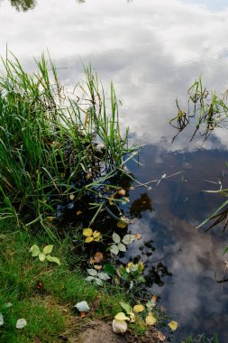 Etrafı yemyeşil çimlerle ve kıyı şeridine saçılmış sayısız yapraklarla çevrili büyüleyici bir gölet var.
