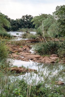Resmedilmeye değer bir nehir, dingin bir ormanın kalbinde, gür ağaçlar ve engebeli kayalarla çevrili sakin bir çevrede dolaşır.