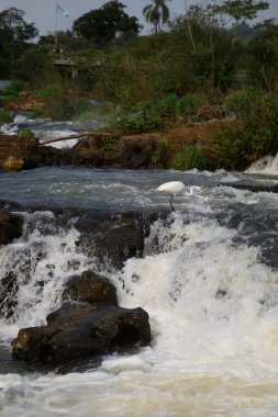 Iguazu şelaleleri bulutlu havada. Yüksek kalite fotoğraf
