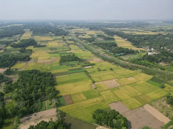 stock image Rural Road and Agriculture Field