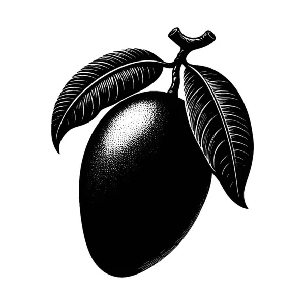 Beyaz arkaplanda mango silueti