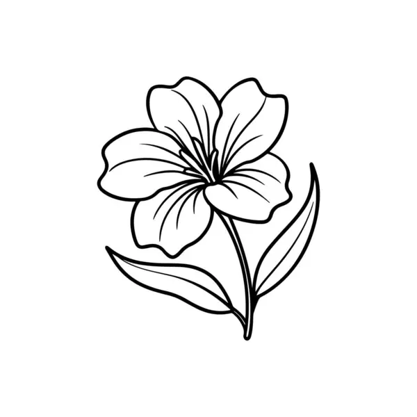 Vektör Flax çiçekli botanik çiçeği