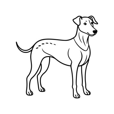 El çizimi köpek çizimi çizimi çizimi