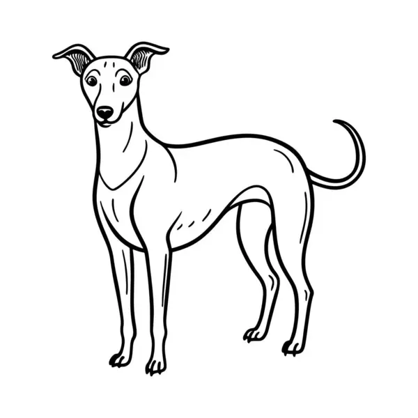 El çizimi köpek çizimi çizimi çizimi