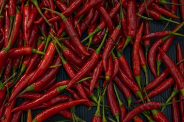 Dağınık kırmızı kırmızı biber manzarası, arka plan. Stok fotoğrafı