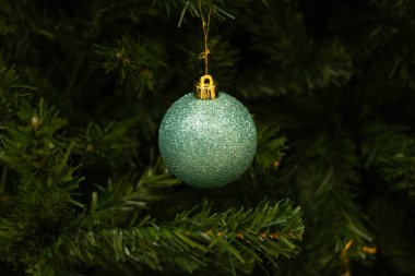 Dolgun yeşil iğnelerle çevrili bir Noel ağacının dalından sarkan parlak bir turkuaz Noel topu. Noel fotoğrafı