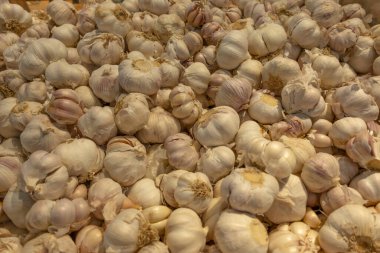 Yemek geçmişi. Süpermarkette sepette sarımsak. Doku gıda pazarı.