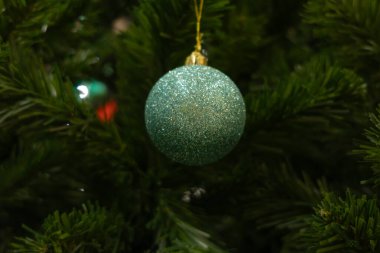 Dolgun yeşil iğnelerle çevrili bir Noel ağacının dalından sarkan parlak bir turkuaz Noel topu. Noel fotoğrafı