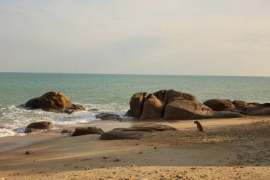 Gün batımında, tropik dekor ve yeşilliklerle çevrili şişme bir daire havuzun kenarında yüzer ve rahatlatıcı bir yaz tatili atmosferi yaratır..