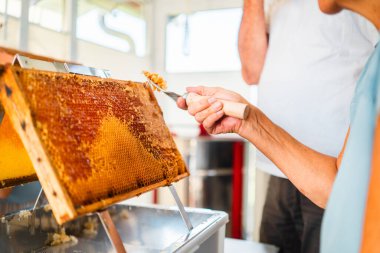 Balmumu 'ndan Arı Kovanı Çerçevesini Açan Kazı Kazıyıcı ile Arı Koruyucusu