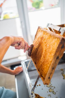 Beekeeper with Honycomb Capping Scratcher Uncapping Beehive Frame clipart