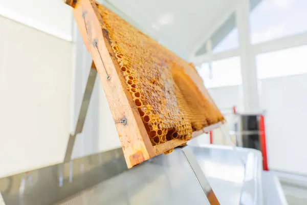 stock image Capped Beehive Frame of a Beehive Standing on a Uncapping Tray Stand Bottom Up View