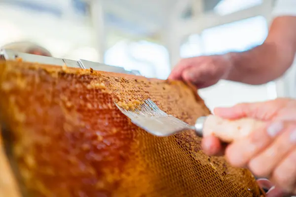 stock image Honycomb Capping Scratcher Uncapping Beehive Frame From Beewax Close Up