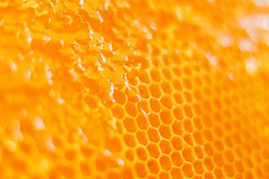Altın Bal Tarağı Hücreleri Arı Balı Akıyor ve Altıgen Prizmatik Hücre Yapısından Damlıyor