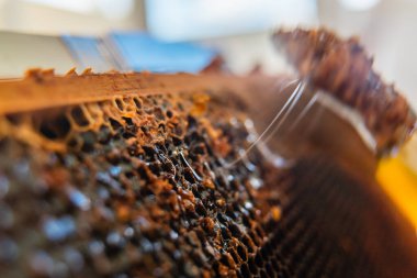 Viscouse Bal Nektarı Bal Tarağından Damlıyor Bir Kapak Kazıyıcı Kapağı ile Çizildi