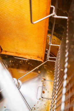 Altın Arı Balı ve Arı Kovanı Çerçevesi Arı Hasadı Sırasındaki Merkezkaç Çıkarıcının İçinde