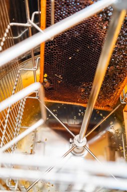 Bal peteği ve Altın Arı Balı Arı Hasadı Sırasındaki Merkezkaç Çekicinin İçinde Çerçevesi