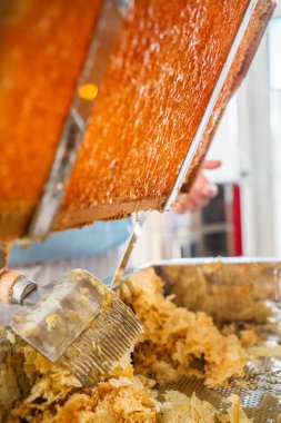 Bal damlası Altın Bal kovanından Arı kovanına damlıyor Arı cilası ve Kazıyıcı dolu bir tepsiye