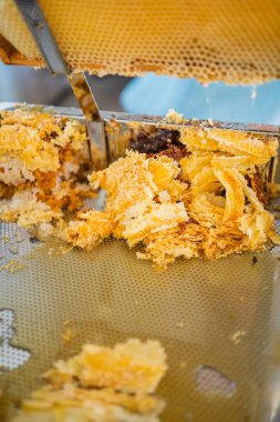 Arı Balı Hasat Ederken Altın Arı Balı ile Bir Kapağı Açma Tepsisinde Toplanan Balmumu