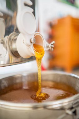 Taze Arıcı Bal Fıçıdan Süzme İçin Sieve 'e Akıyor