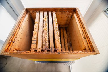 Arı kovanında asılı ahşap çerçeveler