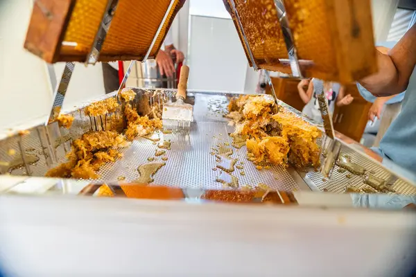 stock image Beehive Decapping Tray Filled with Beewax Won by Decapping the Honeycombs