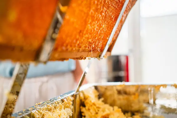 stock image Delicious Golden Bee Honey Dripping and Flowing Down the Honeycombs