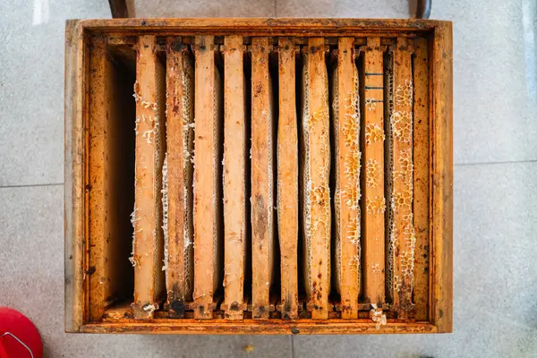 stock image Wooden Beehive Box with Vertical Hanging Beehive Frames