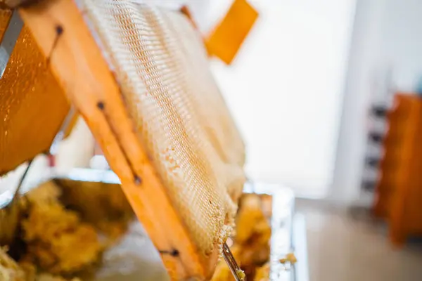 stock image Beehive with Colden Honeycombs Filled with Bee Honey Viewed from the Side