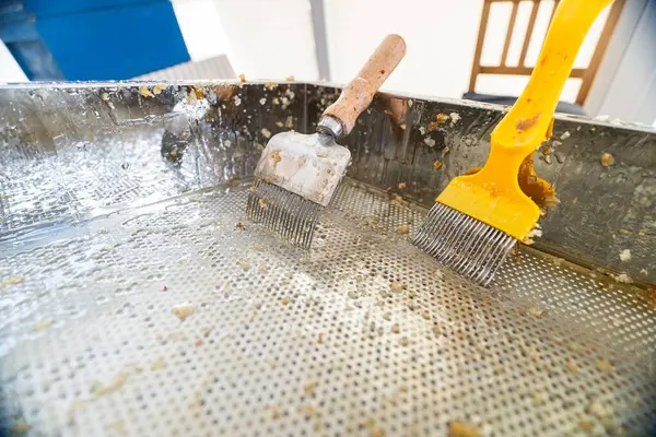 stock image Two Capping Scratchers for Beekeeping Bee Honey in a Gooey Decapping Tray After Usage