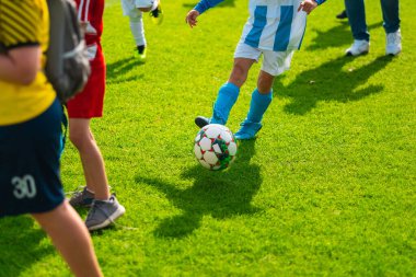 Futbolcu Yeşil Futbol Sahası boyunca Futbol topunu tekmeliyor.