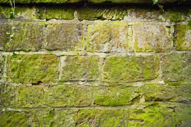 Yıpranmış Tuğla Taş Duvar dokusu