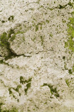 Moss 'la çatlamış ve yıpranmış Kaya Taşı dokusu