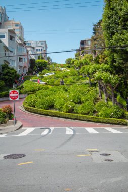 Lombard Caddesi Aşağı, San Francisco, California, Usa