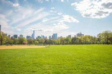 New York City Manhattan 'ın Skyline' ı ile Central Park Lawn Arka planda