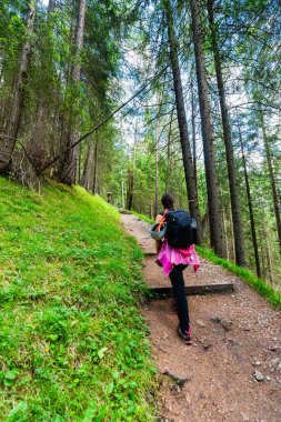 Sırt çantalı bir yürüyüşçü Ormanda bir yolculuğa çıkıyor.