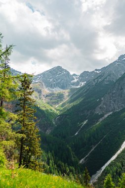 Alp Dağları 'nın Vally' si boyunca Orman Taş Tepesi Zirvesi 'ne kadar