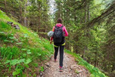 Spor Yürüyüşçüsü Ormanda Taşlı Yürüyüş Yolu 'ndan Aşağı Adımlıyor