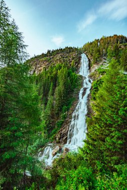 Avusturya Ormanında Büyük Şelalesi Olan Dağ
