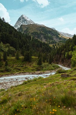 Avusturya Stüdyoları 'nda güzel doğal dağ manzarası. Kozalaklı bir orman, güzel güneşli bir yaz gününde üzerinde kar olan bir nehir ve dağlı bir dağ.