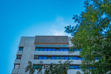 Bina Önü Ağaç Dalları Arasında Sıcak ve güneşli bir yaz gününde Buharlı bir çatısı olan Mavi Gökyüzü