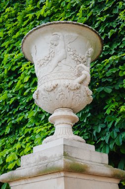 Paris 'te bir ağacın önündeki yükseltilmiş bir galeride duran Güzel Stucco vazosu