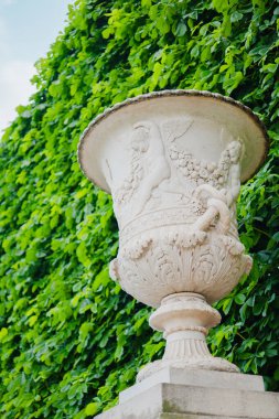 Renassaince Style 'lı vazo Paris' te bir açık hava parkında duruyor.