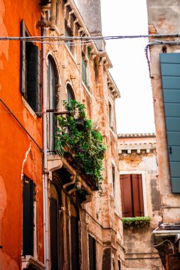 Venedik 'teki bu büyüleyici sokak manzarasını keşfedin. Parlak kırmızı bir cephe, balkonda yemyeşil, İtalyan kentsel güzelliğinin ve mimari çekiciliğinin özünü yansıtıyor..