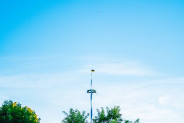 Oktoberfest bayrak direği ve açık mavi bir gökyüzü. Bereketli yeşillik çevreyi sarar, canlı ve huzurlu bir açık hava ortamı yaratır..