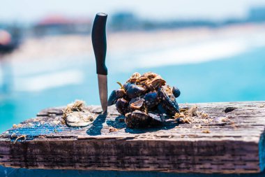 A knife stands on a rustic wooden pier beside a cluster of fresh shellfish, with a vibrant blue ocean and blurred beach background, creating a perfect coastal culinary scene. clipart